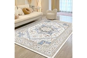 ROCYJULIN 5x7 Rug for Living Room, Washable Area Rug 5 x7 for Bedroom, Low-Pile Area Rugs Carpet with Non Slip Rubber Backing, Soft Boho Area Rug, Non-Shedding, White & Blue