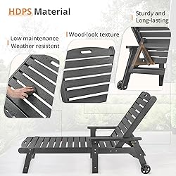 LUE BONA HDPS Chaise Lounge Chairs Set with
