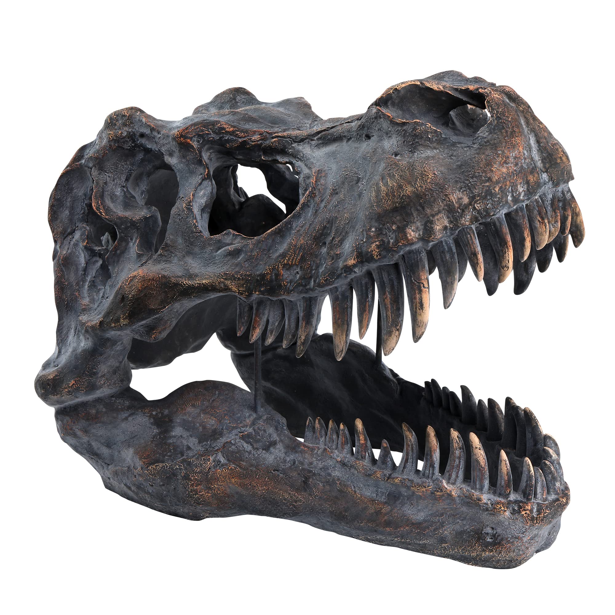 Mua Giant Tyrannosaurus Rex Dinosaur Skull Wall Hanging Fossil Figurine