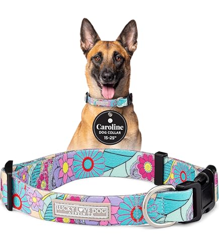 Lucy & Co. Einhorn-Hundehalsband - Verstellbar, Robust & Süß In Lila-rosa