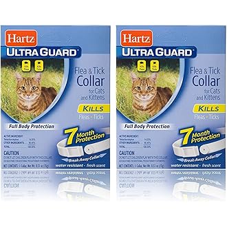 regirock cat flea collar