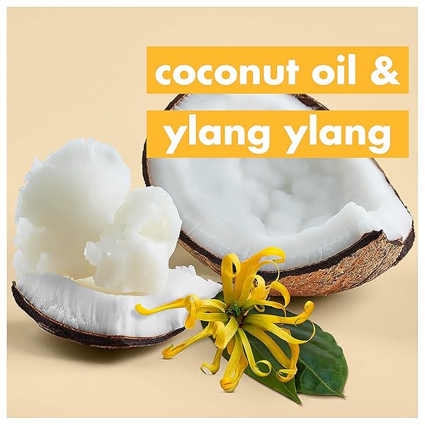 LOVE BEAUTY AND PLANET HOPE AND HAIR REPAIR STRENGTHENING CONDITIONER HAIR REPAIR TREATMENT FOR SPLIT ENDS COCONUT OIL & YLANG YLANG PARABEN-FREE, SILICON-FREE AND VEGAN HAIR CARE 13.5 OZ