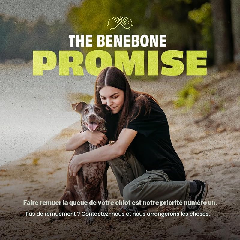 Pawbler Jouet pour Chien, Distributeur de friandises, M/L