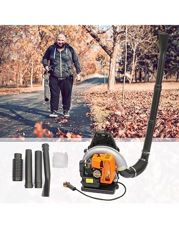 Amazon.es: Sopladores de hojas: Jardín