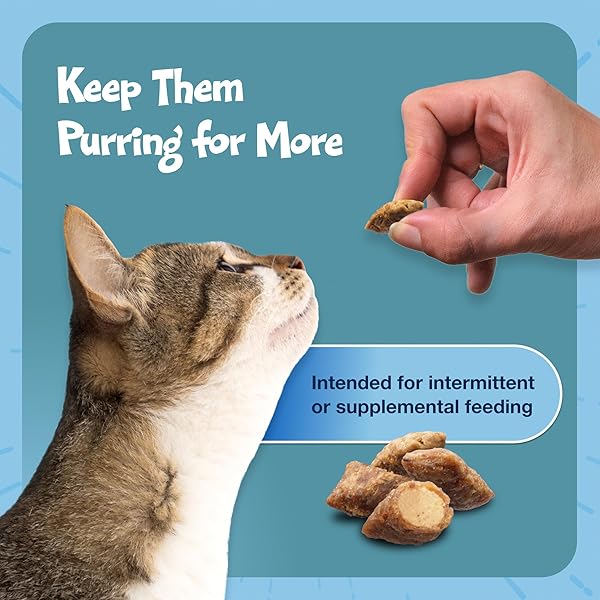 BLUE BUFFALO BURSTS CRUNCHY & CREAMY CAT TREATS, GREAT FOR TRAINING, SAVORY SEAFOOD, 12-OZ TUB