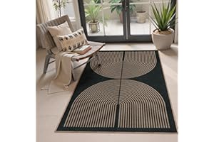 Lahome Modern Rainbow Easy Jute Outdoor Patio Rug, 3x5 Black Washable Rugs for Entryway Office Farmhouse Classroom Carpet, Contemporary Non Slip Front Door Mat for Porch Guestroom Room Decor