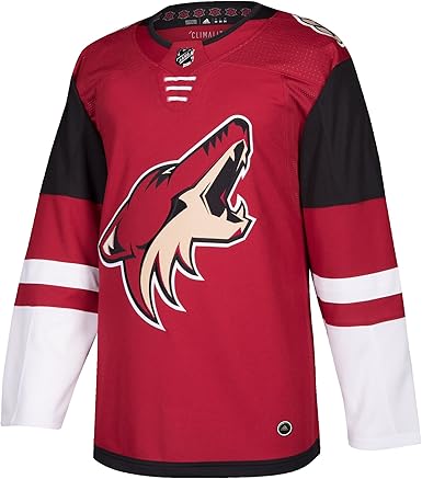 phoenix coyotes jersey uk