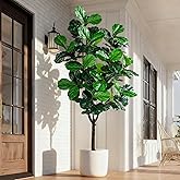 Erimda Artificial Fiddle Leaf Fig Tree 7ft with White Planter Realistic Fiddle Leaf Lyrata Plant Tall Fake Tree with Natural-Looking Leaves Fake Tree for Indoor Outdoor Home Office Decor