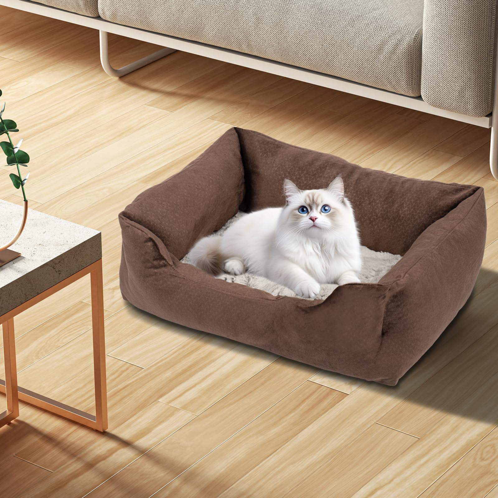 Condition photo showing New/Like New for lovetail dog bed for small and mini medium dog,cat beds for indoor cats,pet bed for puppy (brown, sm