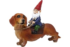 Funny Guy Mugs Gnome and a Dachshund Garden Statue- Indoor/Outdoor Garden Dog Gnome Sculpture for Patio, Yard or Lawn