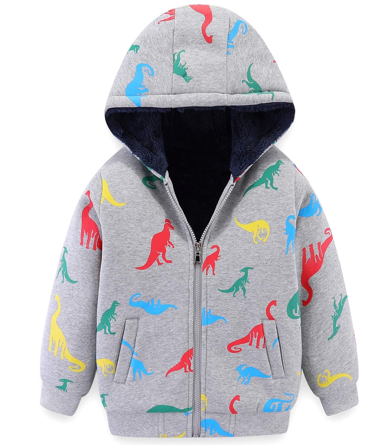 Buy Boy's Sherpa Fleece Lined Jacket, Grey Dinosaur Spring Fall Winter ...