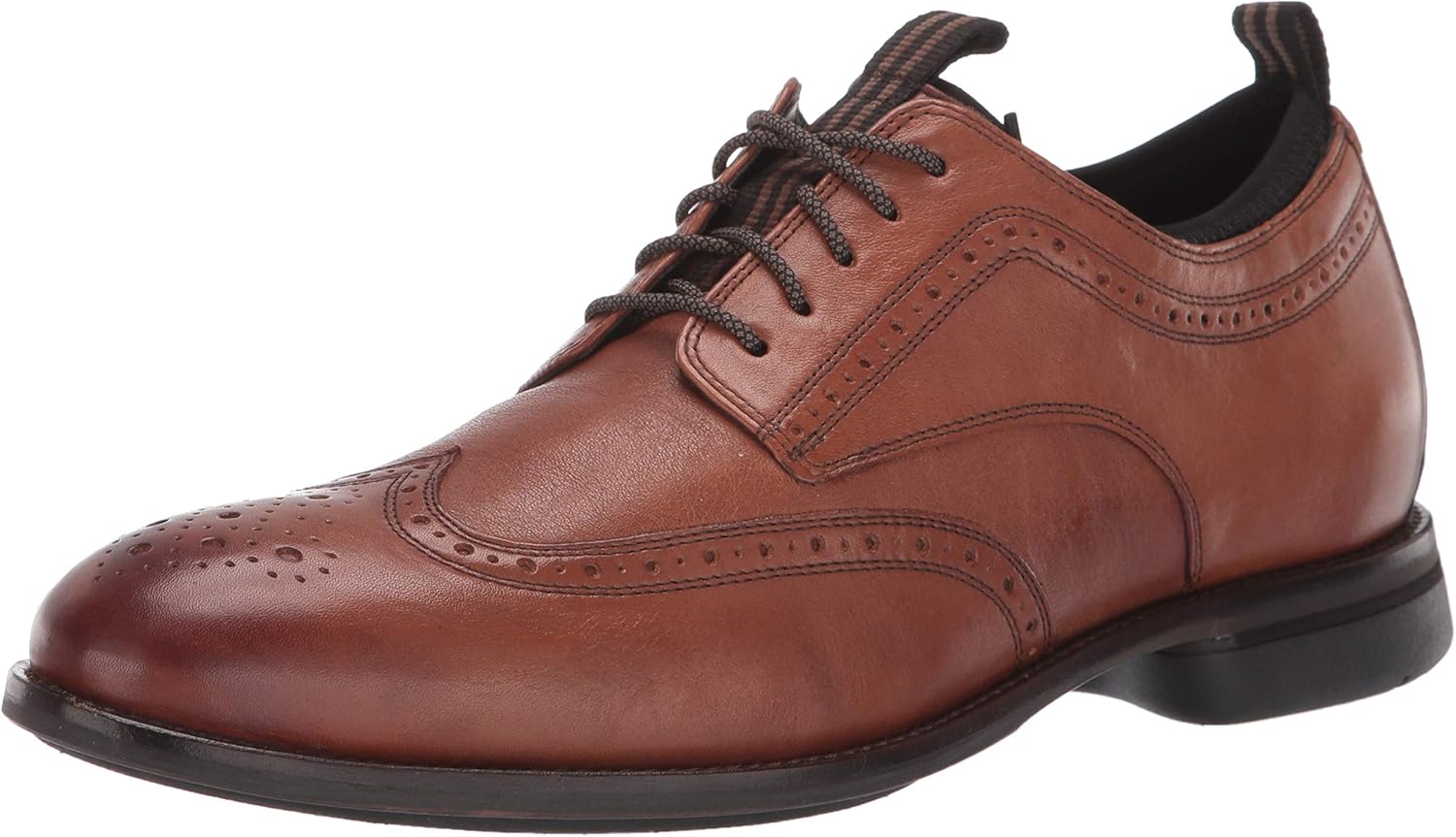 holland long wing oxford
