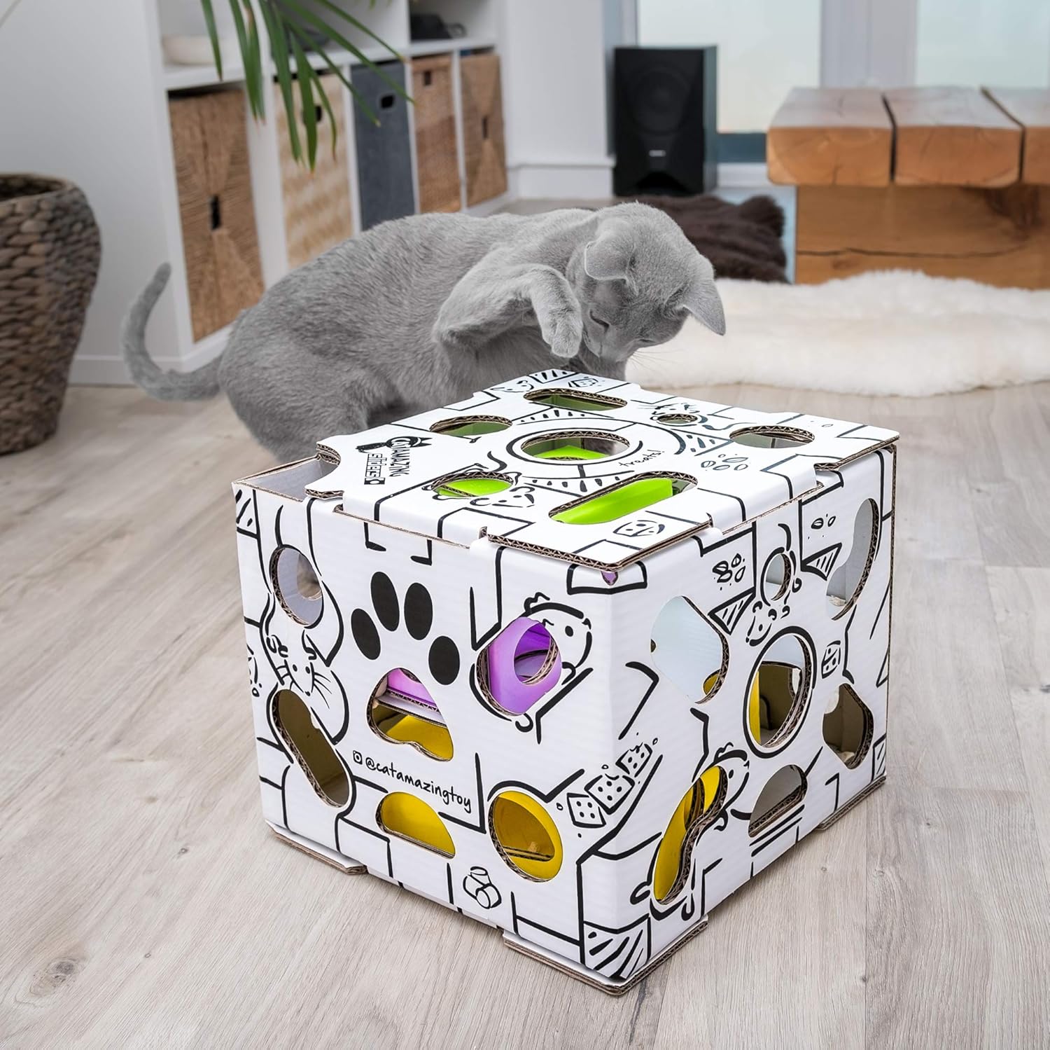 Cat Amazing Sliders – Interactive Treat Puzzle Cat Toy – Active Food Puzzle Feeder : Pet Supplies