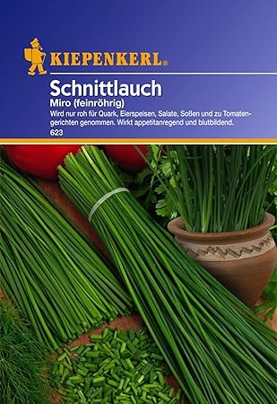 Kiepenkerl, Schnittlauch Miro Mehrjährig