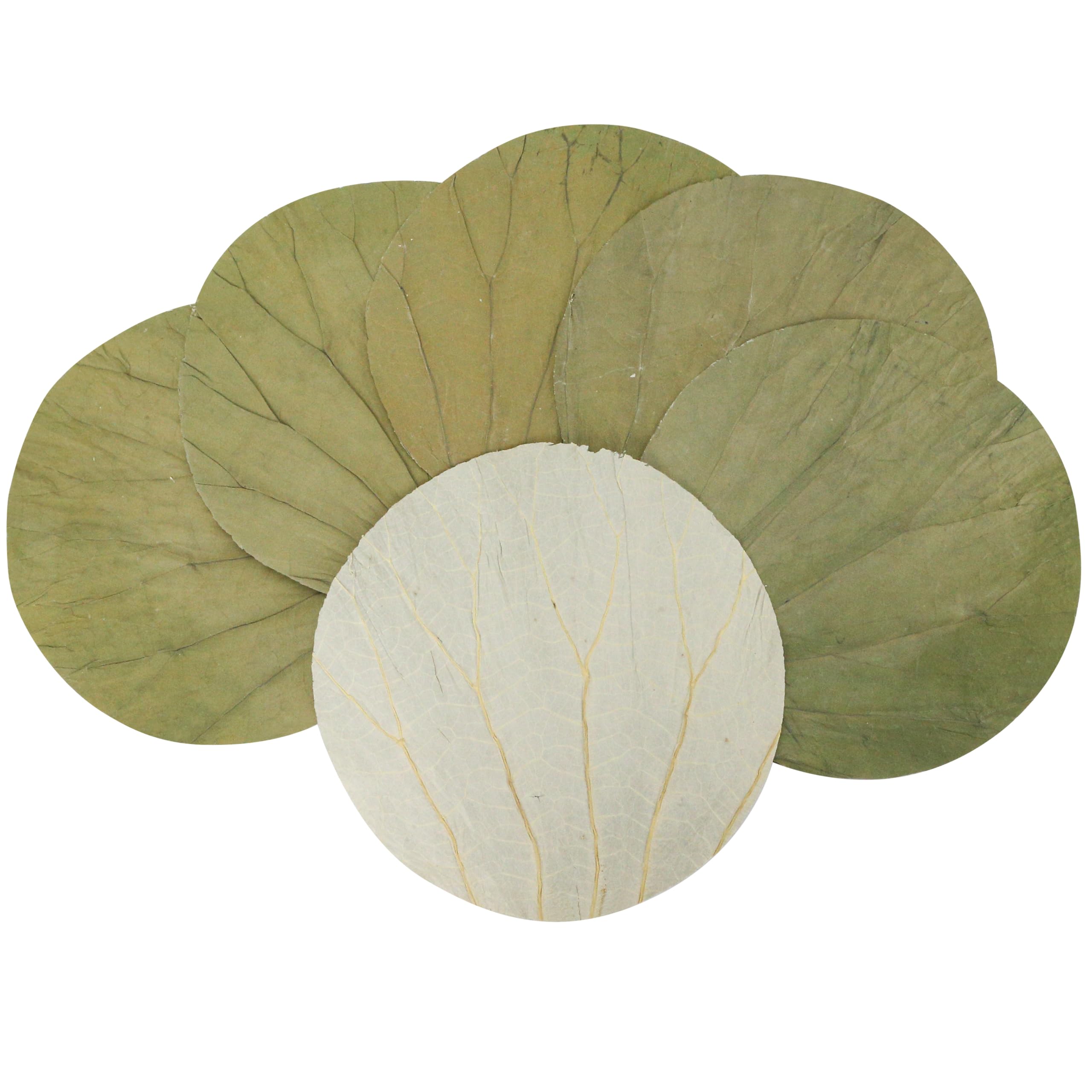 Photo 1 of 100Pcs Dried Lotus Leaves, 8.7" Natural Round Lotus Leaf Wrappers, Bamboo Steamer Paper Mat Liner for Sushi Plate Party Decoration, Food Wrapping & Making Cooking Chinese Dim Sum, Lo Mai GAI