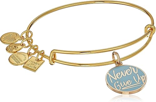 Alex And Ani Womens Never Give Up Charm Bangle Bracelet Shiny Gold Expandable Amazon Ca Jewelry