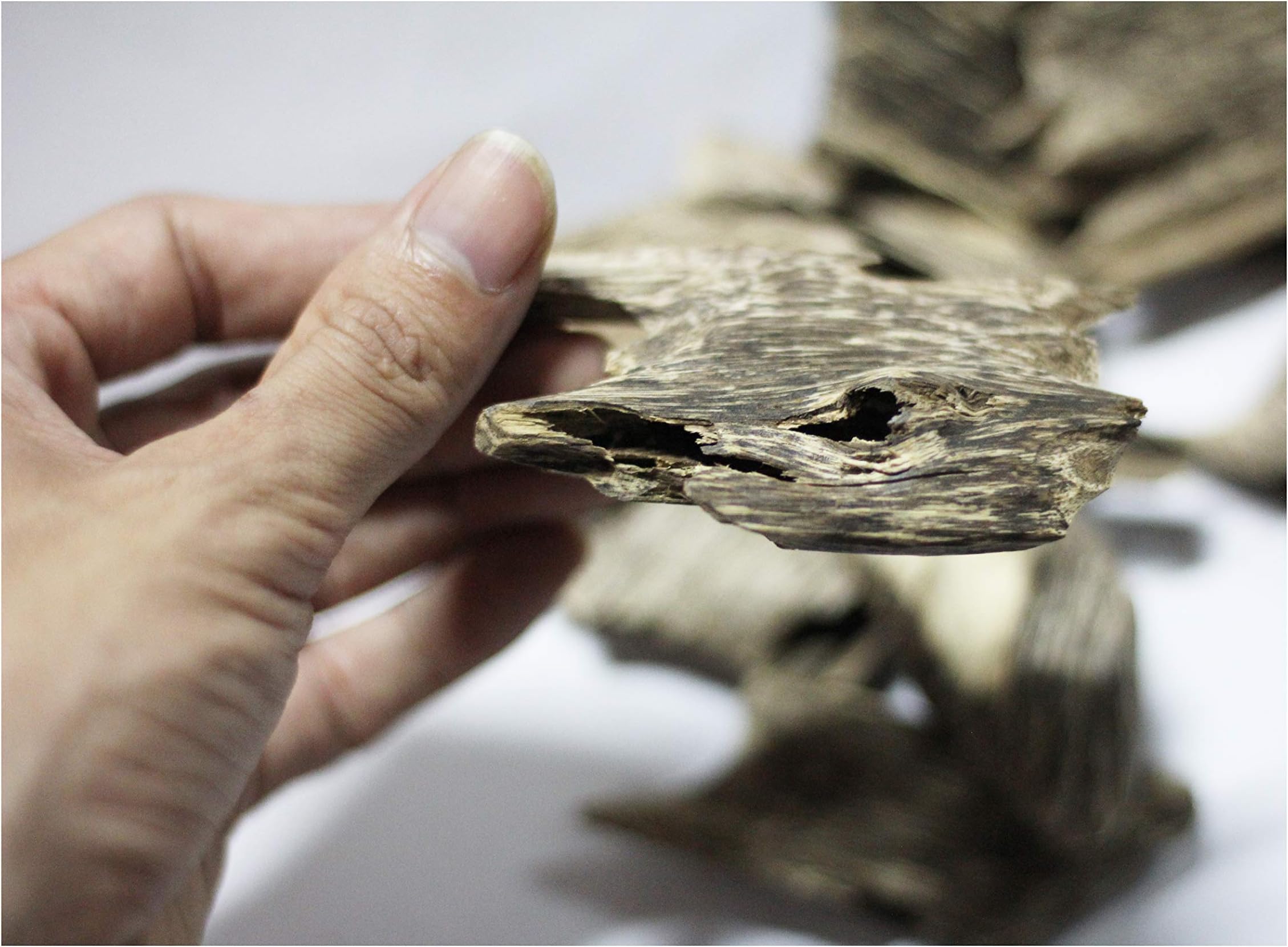 Agarwood Chips Oud Chips Incense Aroma | Natural Wild and Rare Agarwood Chips from Oudwood Vietnam | Pure Material Grade A++ (100 Grams)