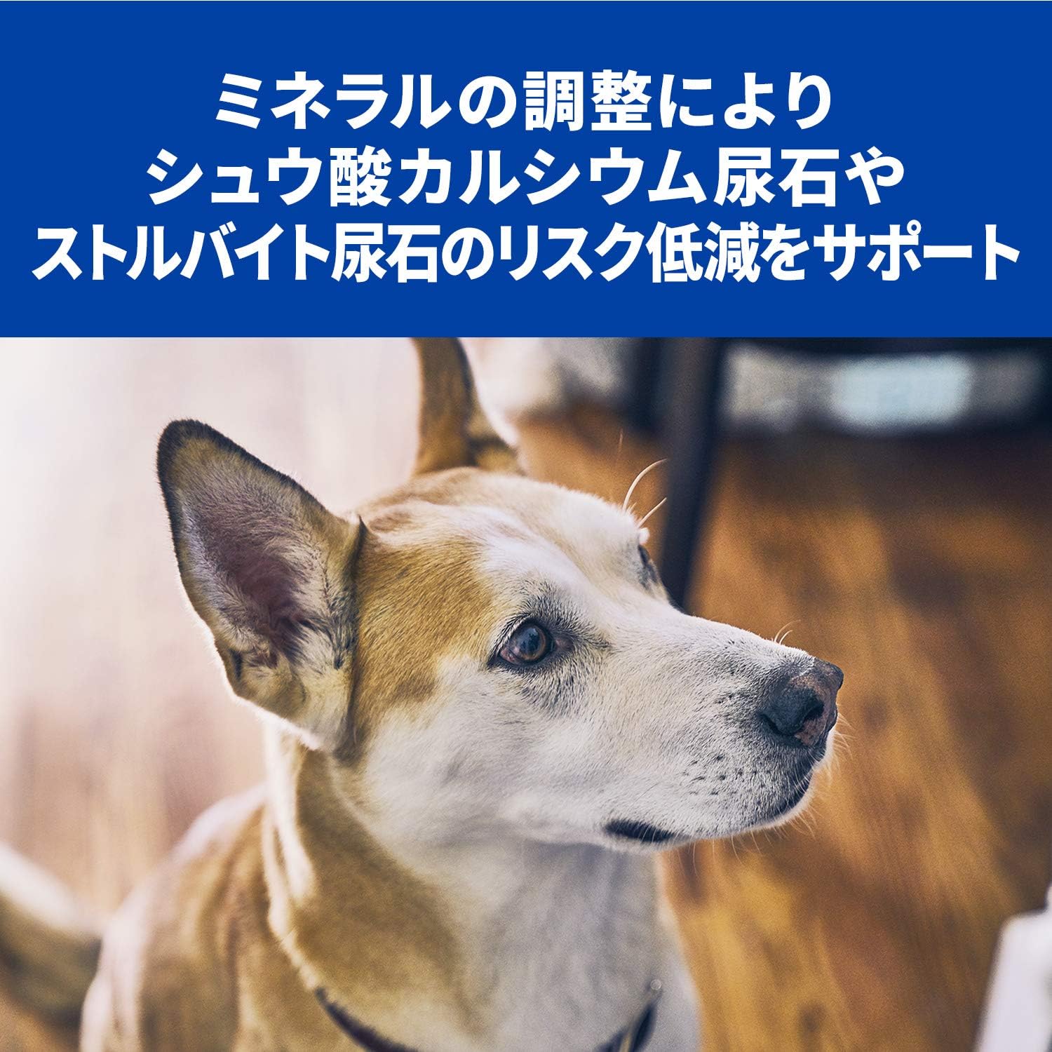 Amazon Co Jp 療法食 プリスクリプション ダイエット ドッグフード C D シーディー マルチケア 小粒 チキン 3kg ペット用品 Amazon Co Jp 療法食 プリスクリプション ダイエット ドッグフード C D シーディー マルチケア 小粒 チキン 3kg ペット用品