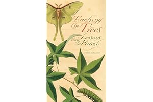 Teaching the Trees: Lessons from the Forest