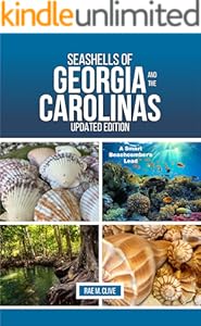 kindle best category lists