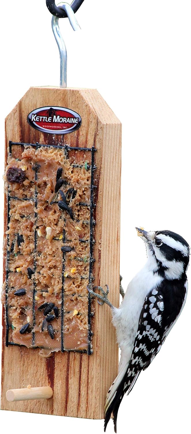 Amazon Com Kettle Moraine Peanut Butter Bird Feeder With Perch
