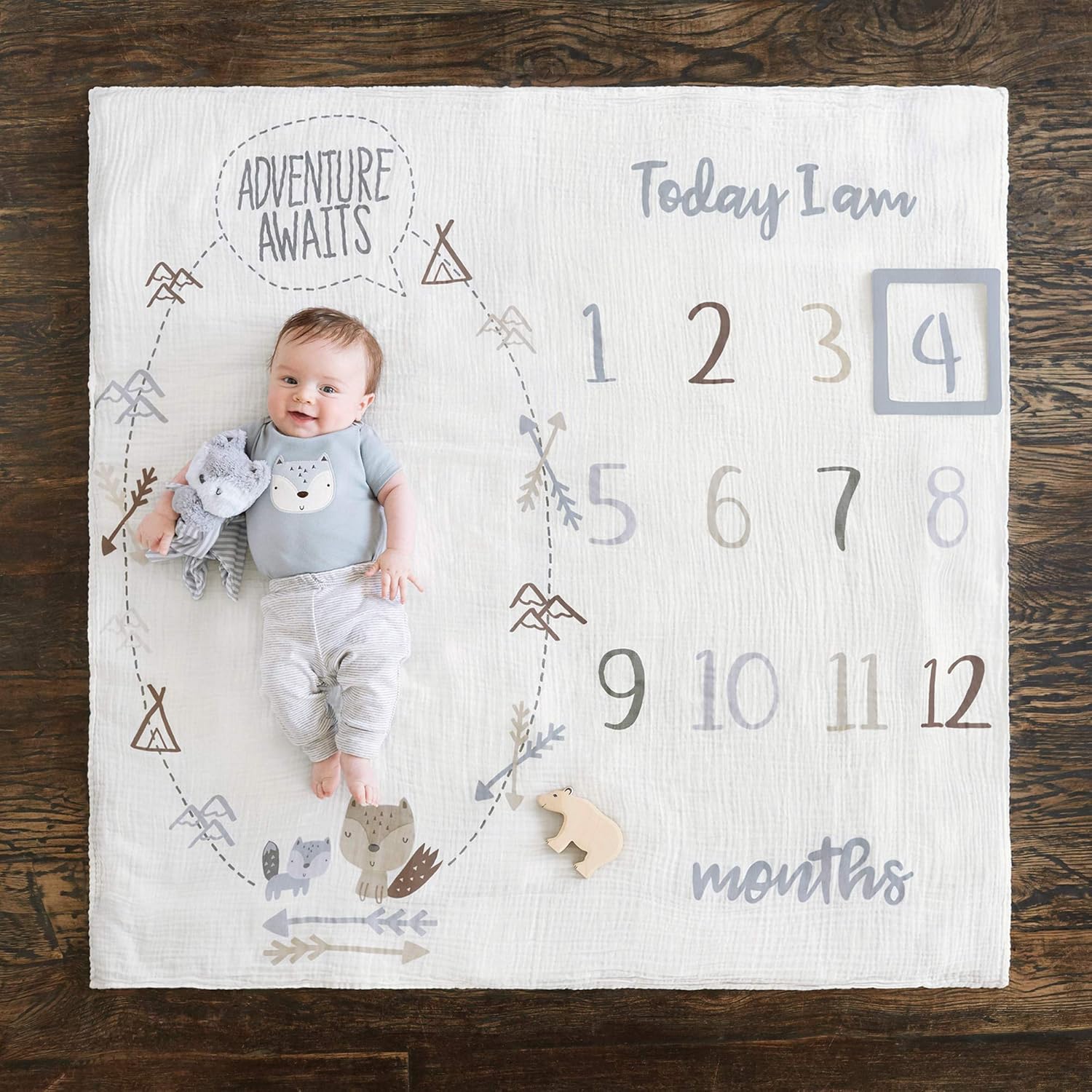 Gerber Milestone Blanket 2025