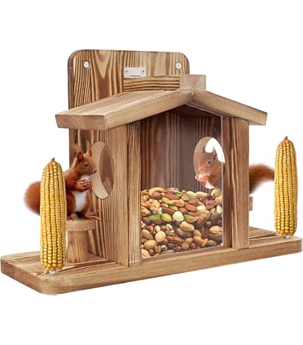 Mangeoire à écureuils En Bois Carbonisé, Mangeoires à écureuils Pour L'extérieur L'hiver, Boîte Durable Facile à Remplir Avec Panneau Avant Amovible, Mangeoire En Bois Pour Maïs, Cacahuètes