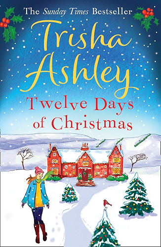 Download Twelve Days of Christmas: A bestselling Christmas read to devour in one sitting! (English Edition) PDF