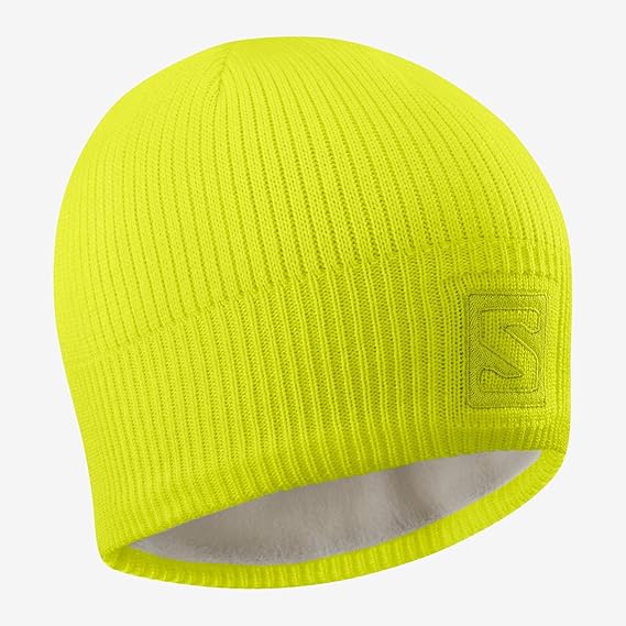 salomon logo beanie