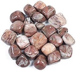Crocon 1LB Rosetta Jasper Tumbled Stones and