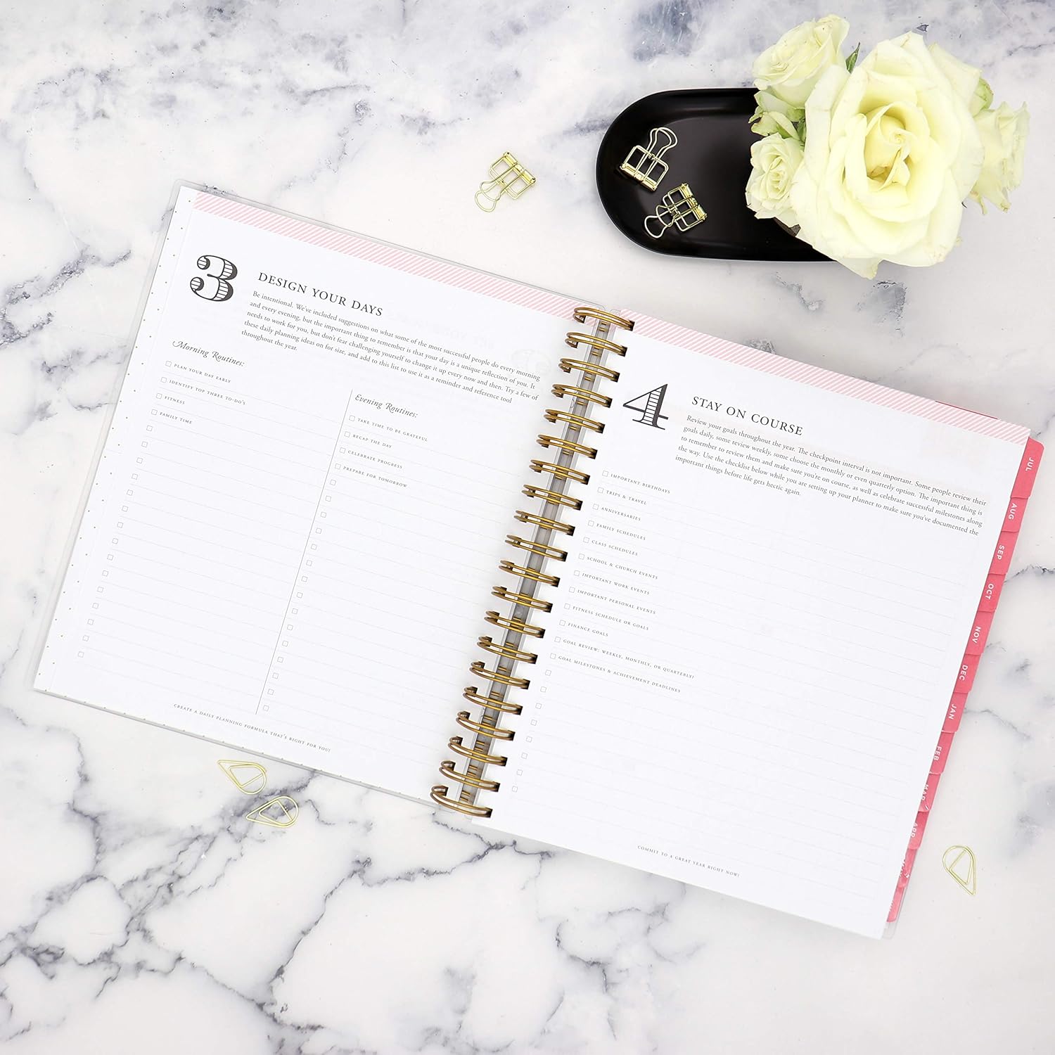 Day Designer for Blue Sky 2020-2021 Academic Year Daily & Monthly Planner, Frosted Flexible Cover, Twin-Wire Binding, 8" x 10", Black Stripe (120053) : Office Products