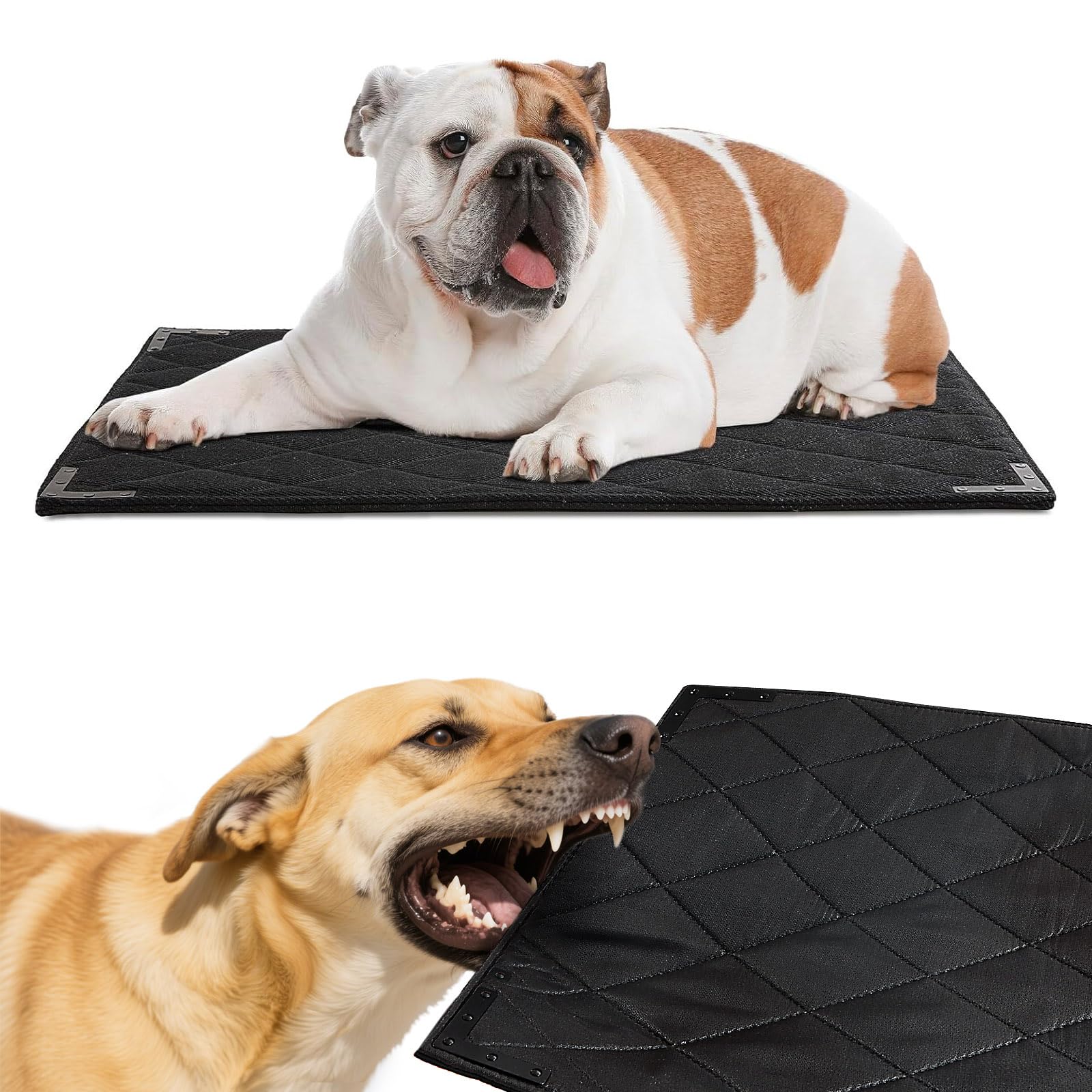 Photo 1 of BALAPET XS Durable Chew Proof Dog Bed with Metal Rivet Corner, 23"x17"