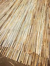 Abaseen Natural Split Reed Fence Screening 1m x 5m Garden Outdoor view 2