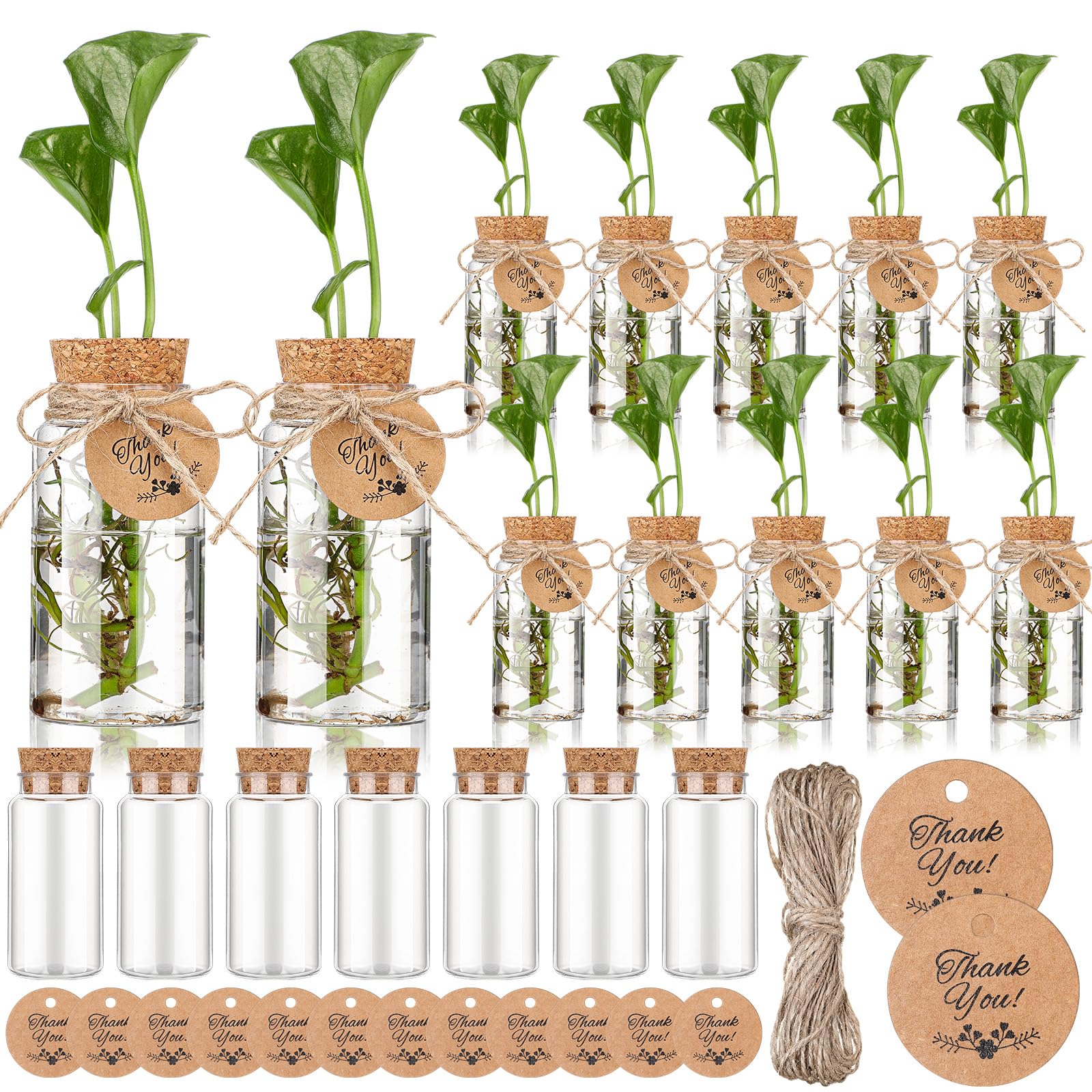 Photo 1 of Baderke 24 Pack 3.54'' Plastic Plant Propagation Stations with Hole Lid 4oz Planter Vase Clear Propagation Jars with Thank You Tags for Plant Lover Gifts for Women Office Home Garden