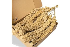 1LB/450g Spray Millet for Birds Parakeets, Super Long Natural Sun-Dried Millet Bird Treats for Cockatiel, Budgie, Finches, Pa