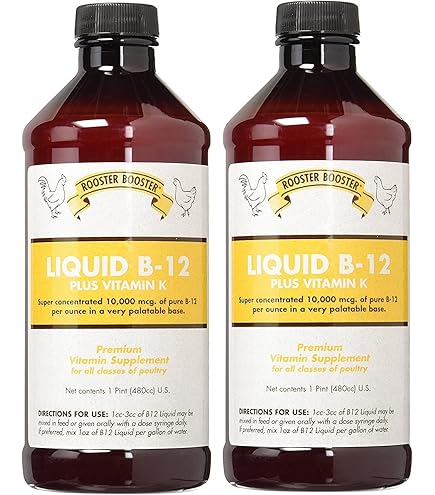 Amazon.com: Rooster Booster B-12 Liquid, 16-Ounce : TDL Industries Inc:  Everything Else