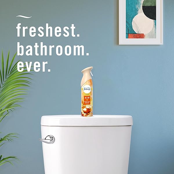 FEBREZE AIR MIST AIR FRESHENER SPRAY, ODOR-FIGHTING ROOM SPRAY, AIR FRESHENERS FOR HOME AND BATHROOM AND KITCHEN, AEROSOL CAN, CRISP FALL BREEZE SCENT, 8.8OZ, 1 COUNT