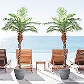 Keeplush 7ft Tall Artificial Phoenix Palm Tree for Outdoor Indoor Decor, Large Faux Coconut Silk Palm Tree Tropical Fake Tree Perfect for Outside Patio Poolside Home Office Decor (Set of 2)
