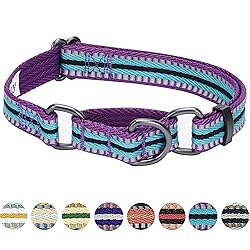 Blueberry Pet 4 Colors 3M Reflective Multi-Colored