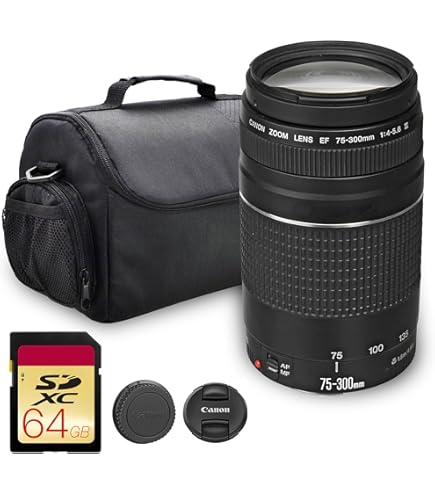 Amazon.com : Canon EF 100-300mm f/4.5-5.6 USM Telephoto Zoom Lens