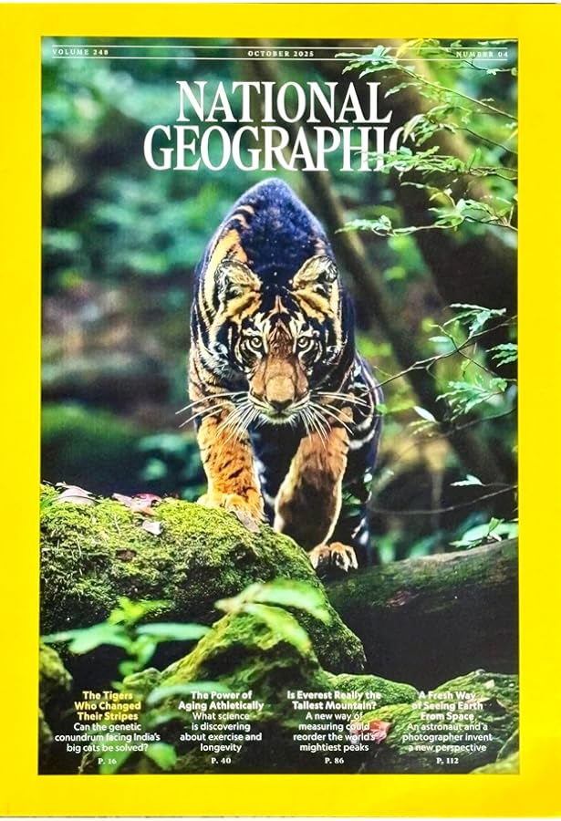National Geographic Magazine英語版 1995 & 1996 National Geographic Magazines - Etsy