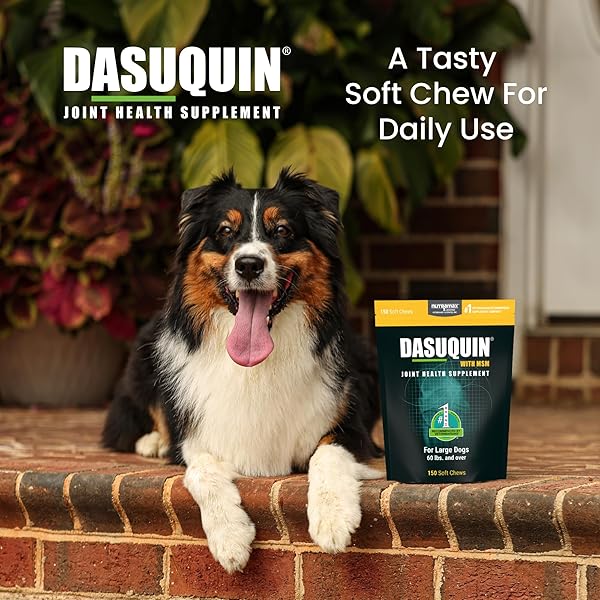 NUTRAMAX LABORATORIES DASUQUIN WITH MSM JOINT HEALTH SUPPLEMENT FOR LARGE DOGS – WITH GLUCOSAMINE, MSM, CHONDROITIN, ASU, BOSWELLIA SERRATA EXTRACT, AND GREEN TEA EXTRACT, 150 SOFT CHEWS