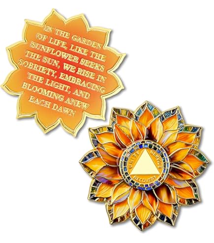 Phoenix Rebirth From The Ashes Inspiring Sobriety Coin AA Recovery Medallion With