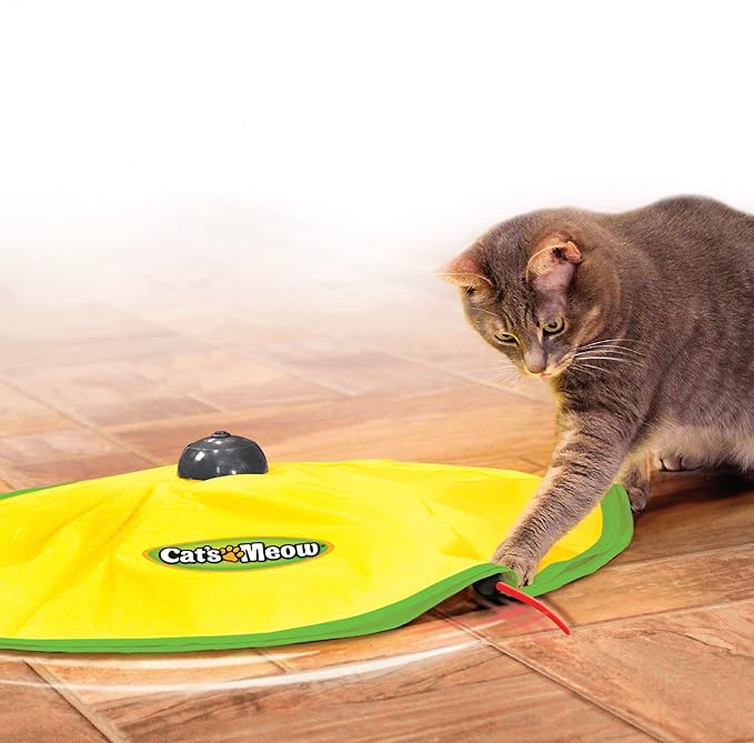 swim noodle dog cone