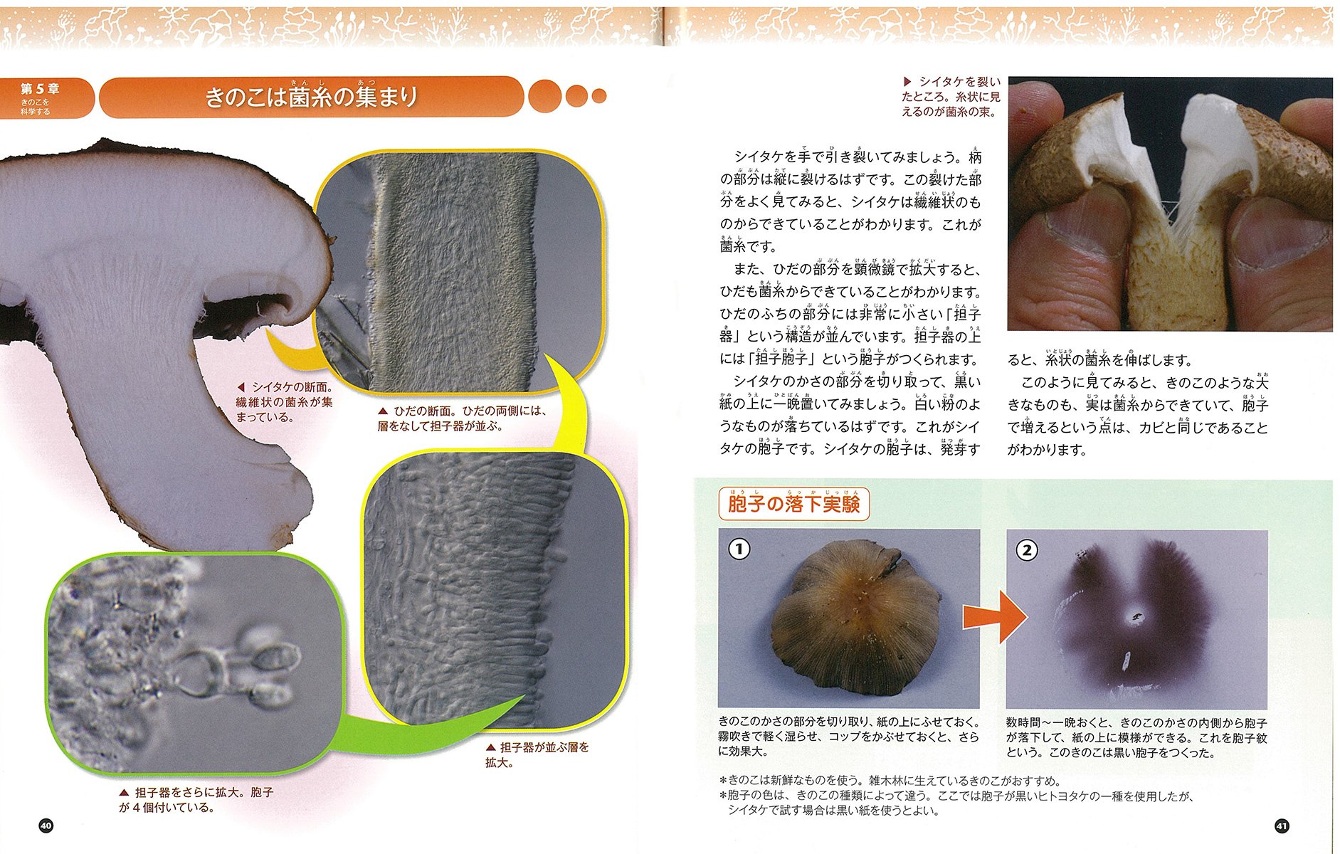 菌類の世界 キノコ カビ 酵母の多様な生き方 子供の科学 サイエンスブックス 細矢 剛 本 通販 Amazon