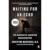 Waiting for an Echo: The Madness of American Incarceration