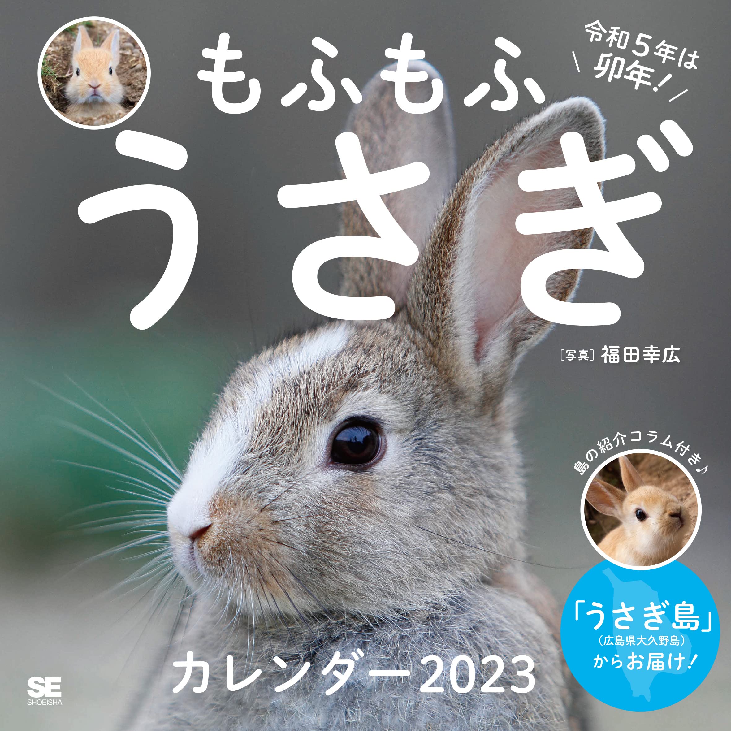 毎年好評 輸入カレンダー 23年 うさぎ かわいい たれ耳 ウサギ エーボンサイド カレンダー スクエアタイプ ペットカレンダー ロップイヤー 中綴じ 令和5年 兎 動物 干支 暦 月めくり 輸入 １着でも送料無料 ウサギ