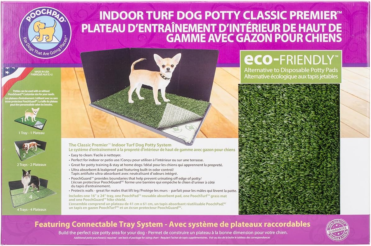 raw dog treats for training