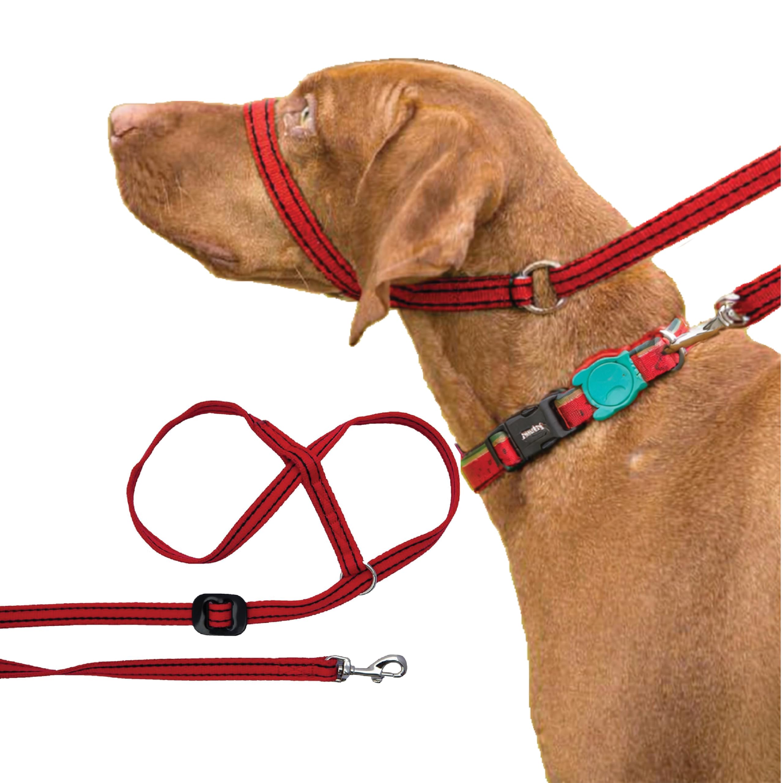 Gencon - Clip-to-Collar Dog Headcollar and Lead - Trainer Approved - One Size Dog Training & Behaviour Aid - Soft & Gentle Design with Trigger Clip - Left - Made in Britain - Red/Black — image 1