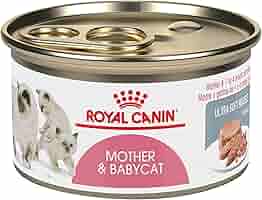 royal canin baby cat 2kg
